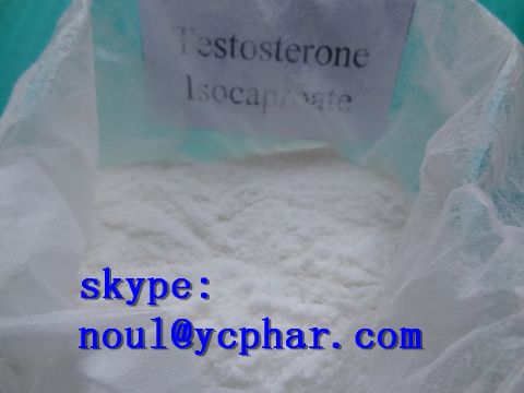 Testosterone Isocaproate